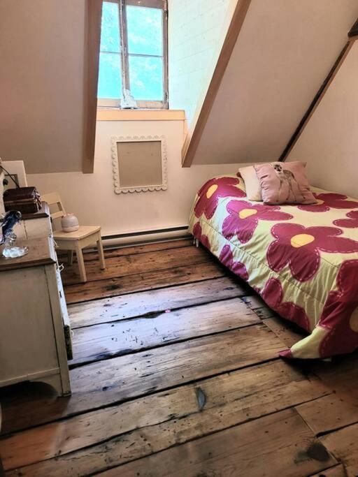 Om Chalet 1 Avec Spa Face Au Fleuve Saint-Jean Eksteriør bilde